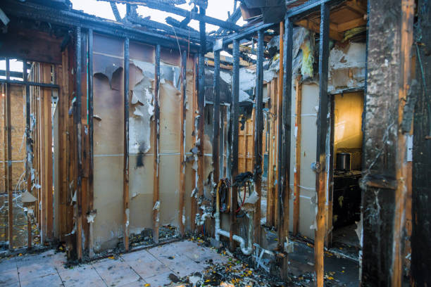 Professional Fire Damage Removal technician working in Bell Acres, PA